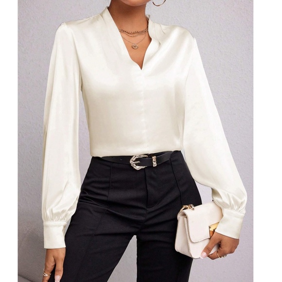 Luxe Satin V neck Long Sleeve Minimalist Blouse - Picture 10 of 11